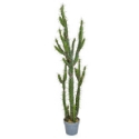 Artificial Potted Cactus 146cm | Expertly Hand-crafted | **FREE UK MAINLAND DELIVERY**